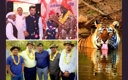 विदेशी राजदूतों और राजनयिकों के आने से सरिस्का का बढ़ेगा पर्यटन और खैरथल को मिलेगी अंतर्राष्ट्रीय पहचान - राम यादव