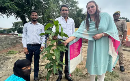 भारत के माननीय प्रधानमंत्री  नरेंद्र मोदी जी के 72वें जन्मदिन के अवसर पर अंकीबाई घमंडीराम गोवाणी ट्रस्ट द्वारा वृक्षारोपण अभियान का आयोजन किया गया