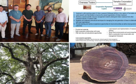 Yamaha ने Overseas Traders के साथ मिलकर भारतीय रोज़वुड के टिकाऊ वन संरक्षण को बढ़ावा दिया